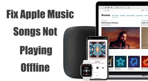 Apple Music Songs Not Playing: A Deep Dive into the Issue and Its Potential Solutions