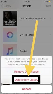 how to delete a playlist on apple music: Exploring the Nuances of Music Management on Apple Music